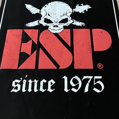 2 Esp Banners image 1