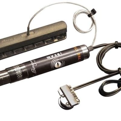 LR Baggs iBeam Active Acoustic Guitar Pickup System | Reverb