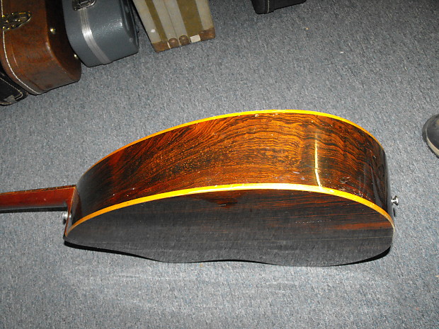 Giannini 12 string Craviola Brazillian rosewood early 70's