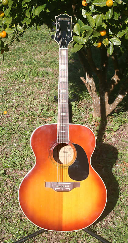 1970's Granada J200 by Matsumoku Japan - Sunburst Bargain