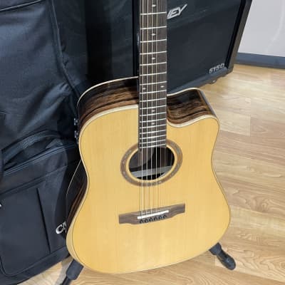 Teton STS180CENT-AR Dreadnought Acoustic Electric Guitar With Heavy Padded Gig Bag for sale