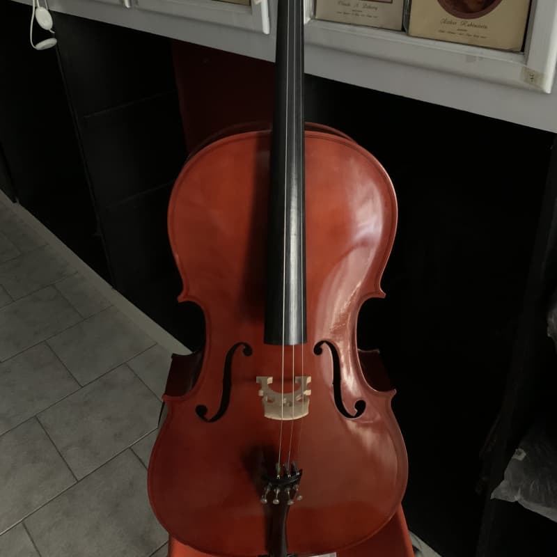 SKB 1SKB-244 étui rigide pour violon ou violon alto 14 pouc