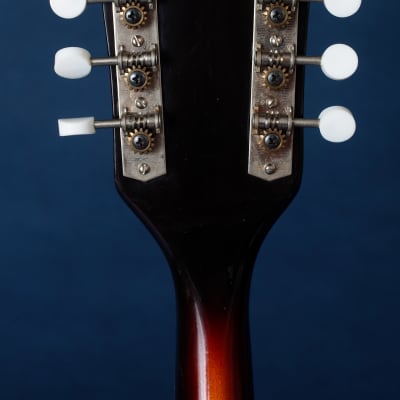 Kay 395 Electric Mandolin 1960s / Anyone for Venice? image 8