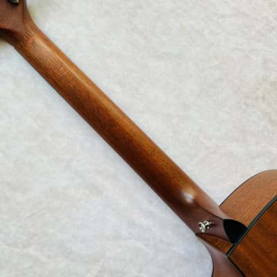 Taylor 310ce with Fishman Electronics 2000 - Natural image 18