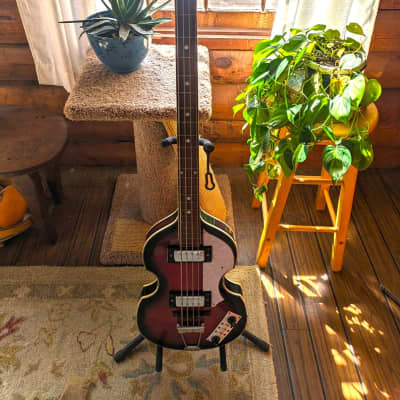 Kingston Viola Bass for sale
