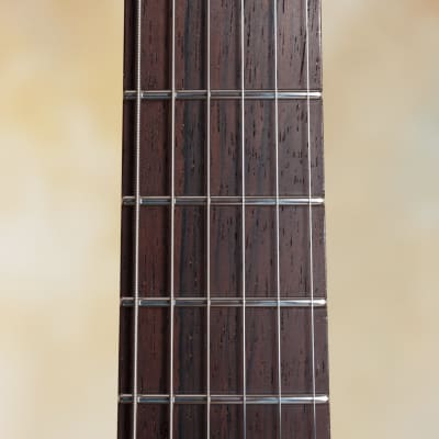 Marchione Semi-Hollow Maple / Mahogany Guitar  --   Brazilian Rosewood Fingerboard  -- image 10
