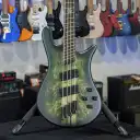 Spector NS Dimension 4 Multi Scale Haunted Moss | Gig-Bag + Free Shipping, Auth Dealer! 051