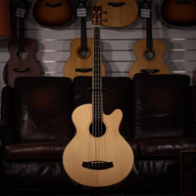Tanglewood TW8 AB Acoustic Bass image 4