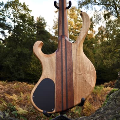 Manton Customs Ascendant 5 String Bass - African Rosewood, Nordstrand Sting Ray Pickup image 5