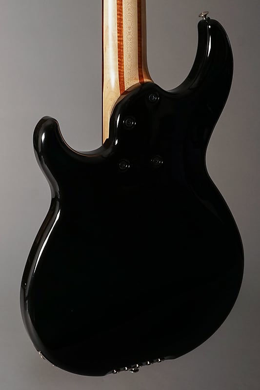 Yamaha BB2025X 5 String Bass Black, with Hard Shell Case