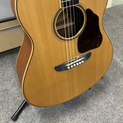Washburn RSD135-D 6-String Revival Series Dreadnought 2018 w/Case image 10