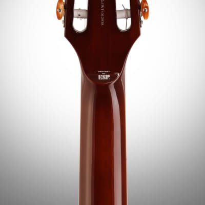 ESP LTD TL-6N Thinline-6 Nylon Classical Acoustic-Electric Guitar, Natural image 8