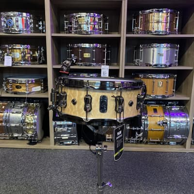 Mapex BPNMW4550LXN Black Panther Pegasus 14x5.5" Maple/Walnut Snare Drum image 2