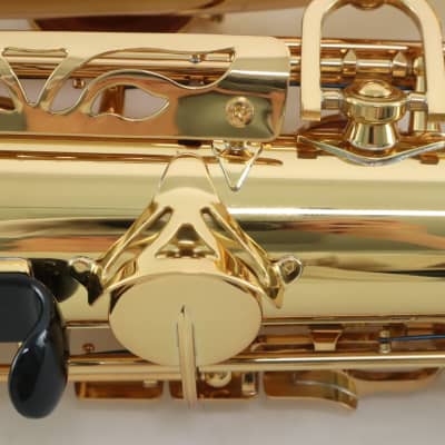 Yamaha Model YAS-62III Professional Alto Saxophone MINT CONDITION image 10