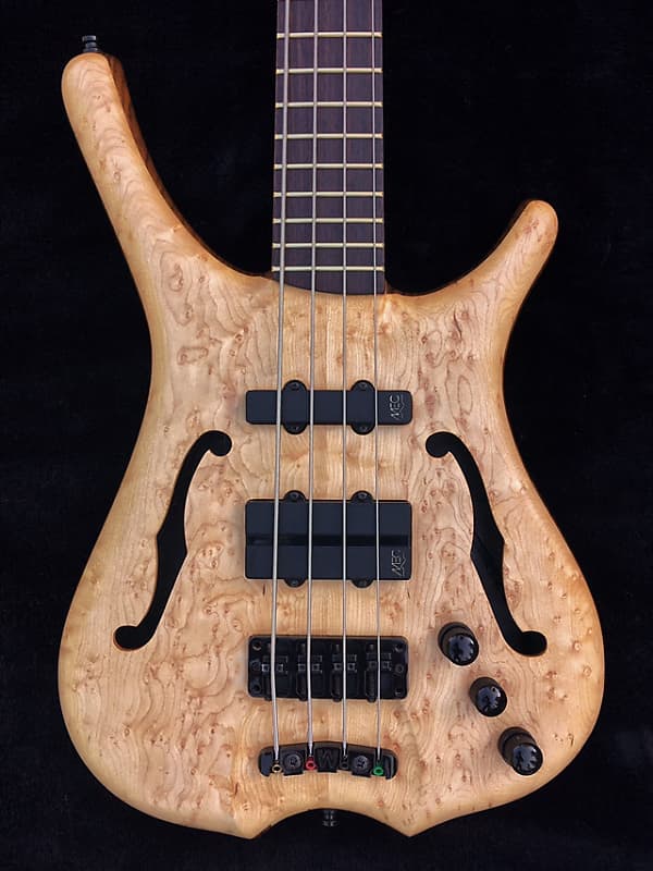 Warwick 2024 infinity bass