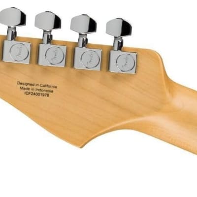 だ*り様 Fender Standard Stratocaster left h Fender Standard Stratocaster Left-handed - Black with Maple