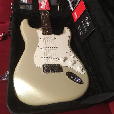 Fender Stratocaster Chrome Pearl Metallic, Rosewood Fretboard Rare Mint Condition THE ONLY ONE! image 1