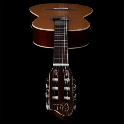 Godin Etude Nylon String Guitar image 5