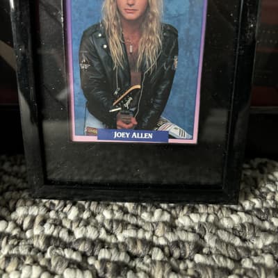 Joey Allen of Warrant Custom Built Sarricola Guitar 1989 1 of 1 image 20