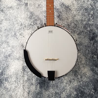 Epiphone MB-100 5-String Open-Back Banjo - Re-Sale (Great Condition) image 2