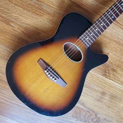 Peavey Ecoustic Acoustic Electric thin body guitar for sale