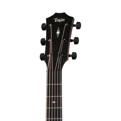 Taylor 324ce Grand Auditorium Acoustic-Electric Guitar - Mahogany Top with Mahogany Back and Sides image 4
