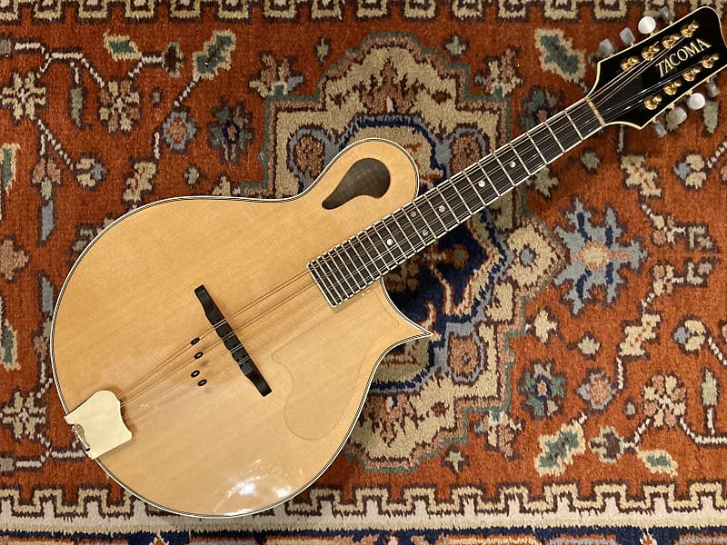 M3 Mandolin Stunning Hard Case Reverb