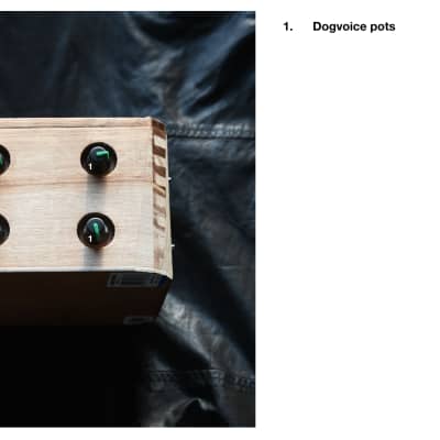 Ciat-Lonbarde DogeVox image 5