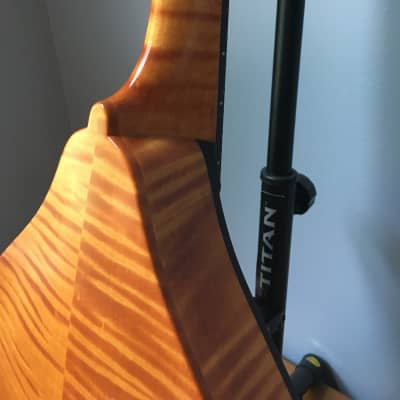 2018 Collings MT Amber gloss mandolin image 12