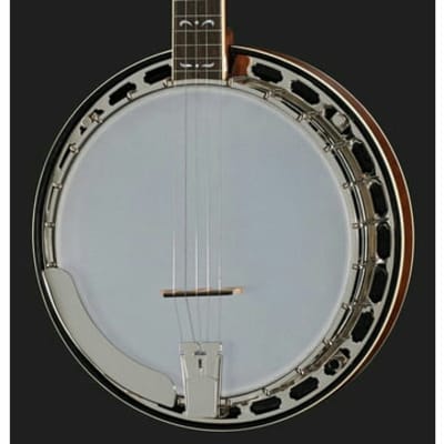 Recording King RK-R35-BR "Madison" Resonator Banjo. New with Full Warranty! image 5