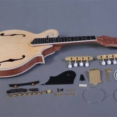 DIY-MAKE YOUR OWN KENTUCKY STYLE F HOLE 8 STRING CARVED TOP ACOUSTIC MANDOLIN image 2