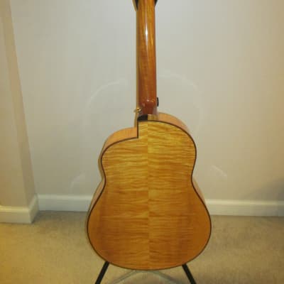 McGill Custom Resonator Guitar image 7