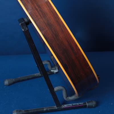 Giannini Craviola AWKNS6 / Nylon String and Bossa Ready! image 13