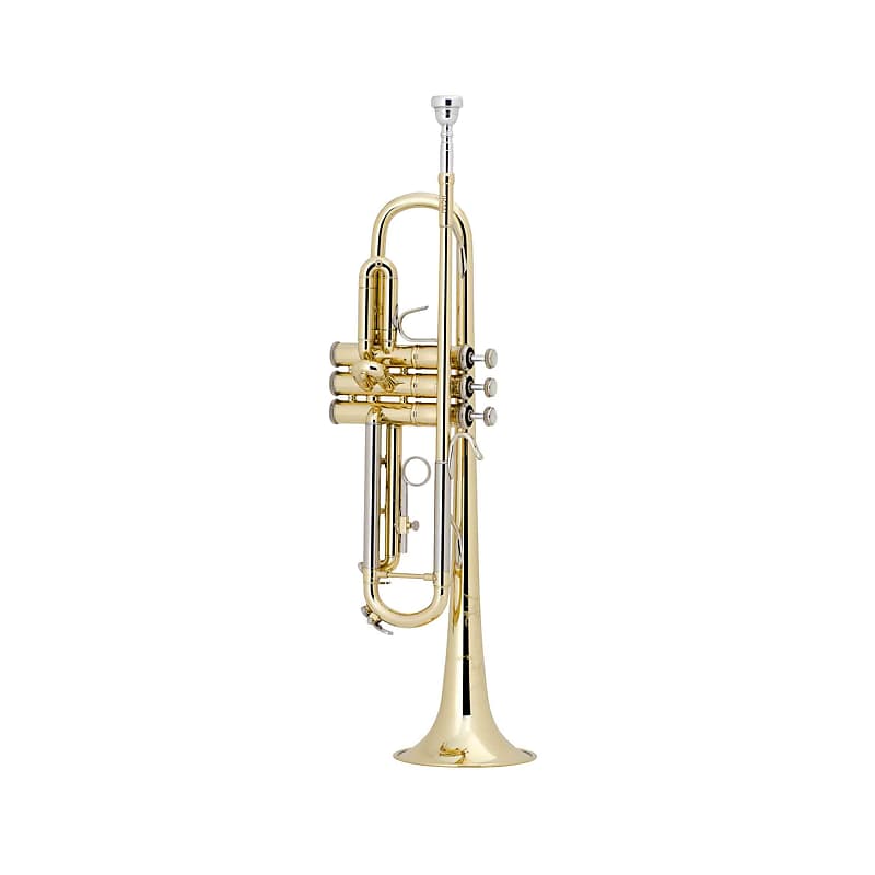 Bach Step-Up Bb Trumpet Outfit, Lacquer image 1