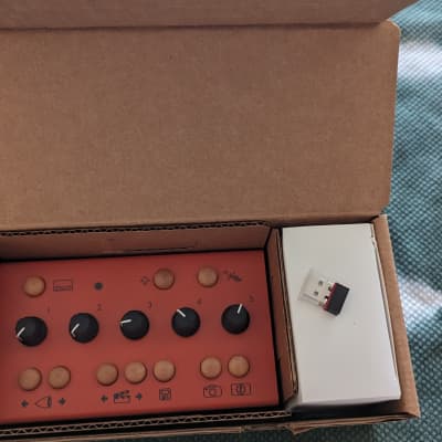 Critter & Guitari Eyesey