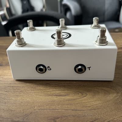 Analog Endeavors Custom Dual AUX3 - White (6-button controller for Strymon Pedals) image 2