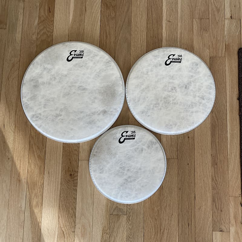 Evans Calftone Drum Heads 10” 12” 14” Reverb