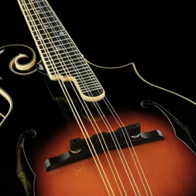 The Loar LM-600 Pro Mandolin, F-Style, All Solid Hand Carved. New! image 13