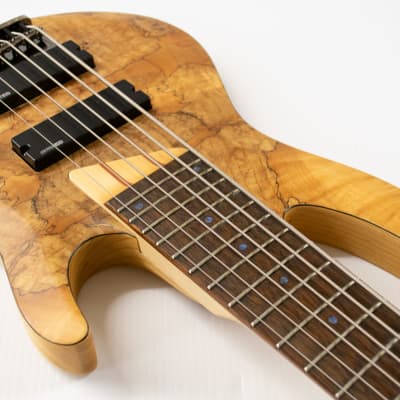 ESP LTD B-206SM 6-String Bass - Spalted Maple image 6