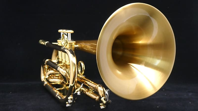 CarolBrass 8382 GLS(D) Cornet from Trent's Personal Collection! image 1
