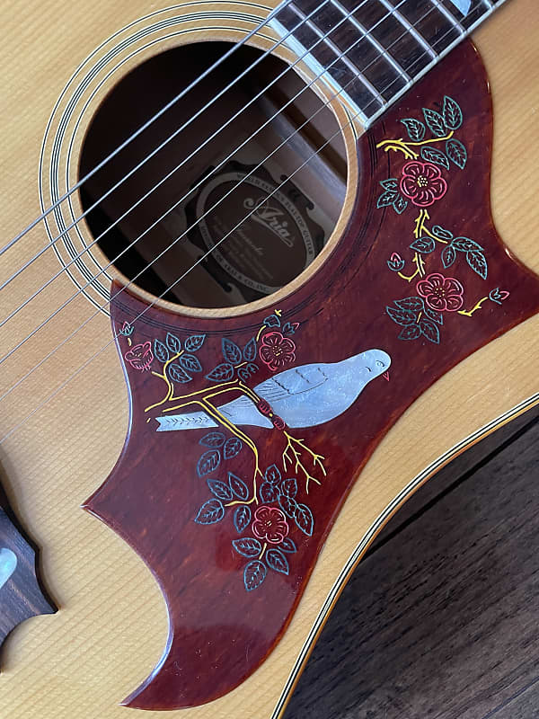Aria DOVE model WD－35 希少 ギター アコギ