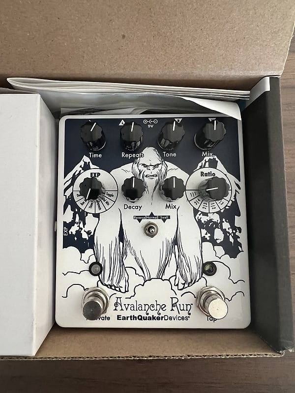 EarthQuaker Devices Avalanche Run