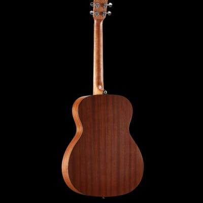 Alvarez AF30 Acoustic Guitar image 6