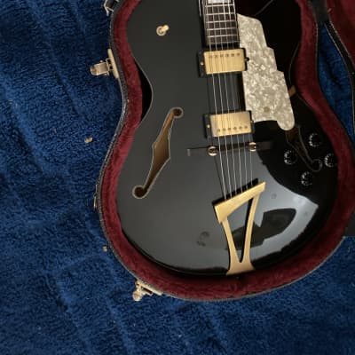 Triggs Round Midnight Thinline Archtop  Hollowbody Guitar - Rare -   Black image 2