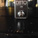 TC Electronic Ditto Looper 2013 - Present - Black