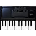 Roland Boutique K-25m 25-Note Portable Keyboard Unit for Boutique Modules
