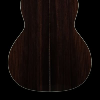 Collings C100 Deluxe G, German Spruce Top, Indian Rosewood - VIDEO image 6
