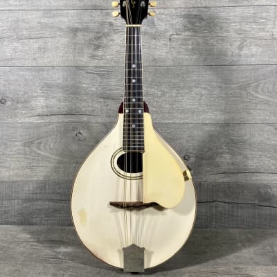 Gibson A-3 Mandolin 1920 - White image 1
