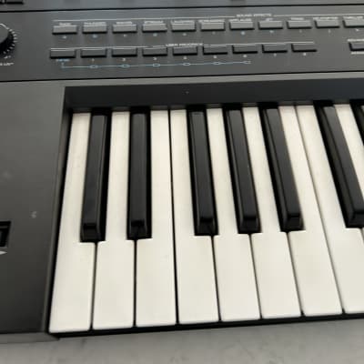 Roland Pro-E 37-Key Intelligent Arranger 1989 - 1990 - Black image 3