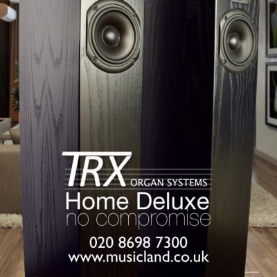TRX Home Deluxe Speaker System Black Ash image 2